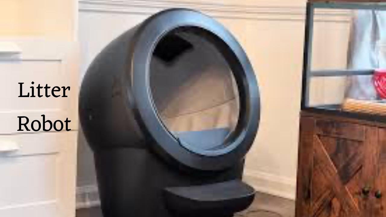 What is Litter Robot.How to clean litter robot?