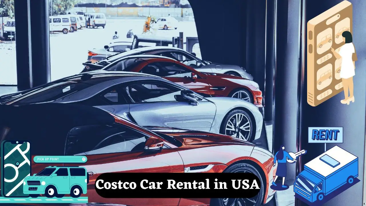 Costco Car Rental in USA, Florida Your Ultimate Guide